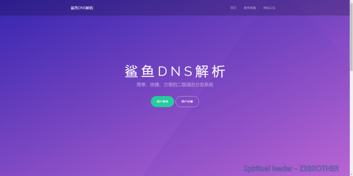 图片[1]-最新好看的二级域名分发系统梦幻版-同城资源网