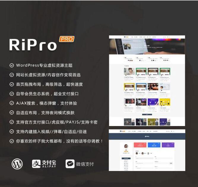 图片[1]-最新WP+RiPro主题PJ版 功能强大-同城资源网