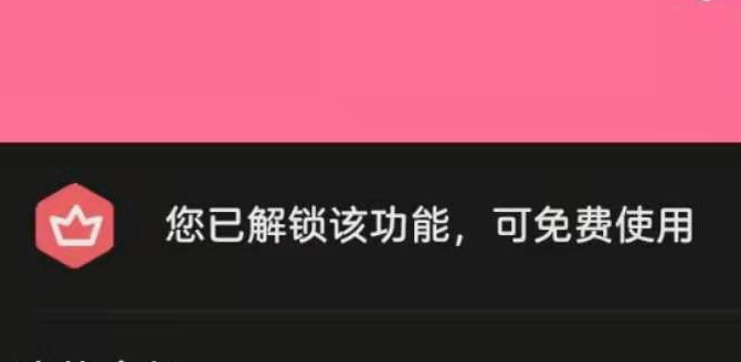 梅花视频 画中画 4K蓝光画质 无广告无需会员-同城资源网